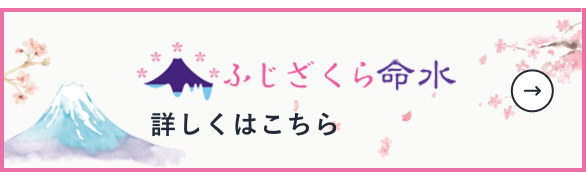 詳しくはこちら